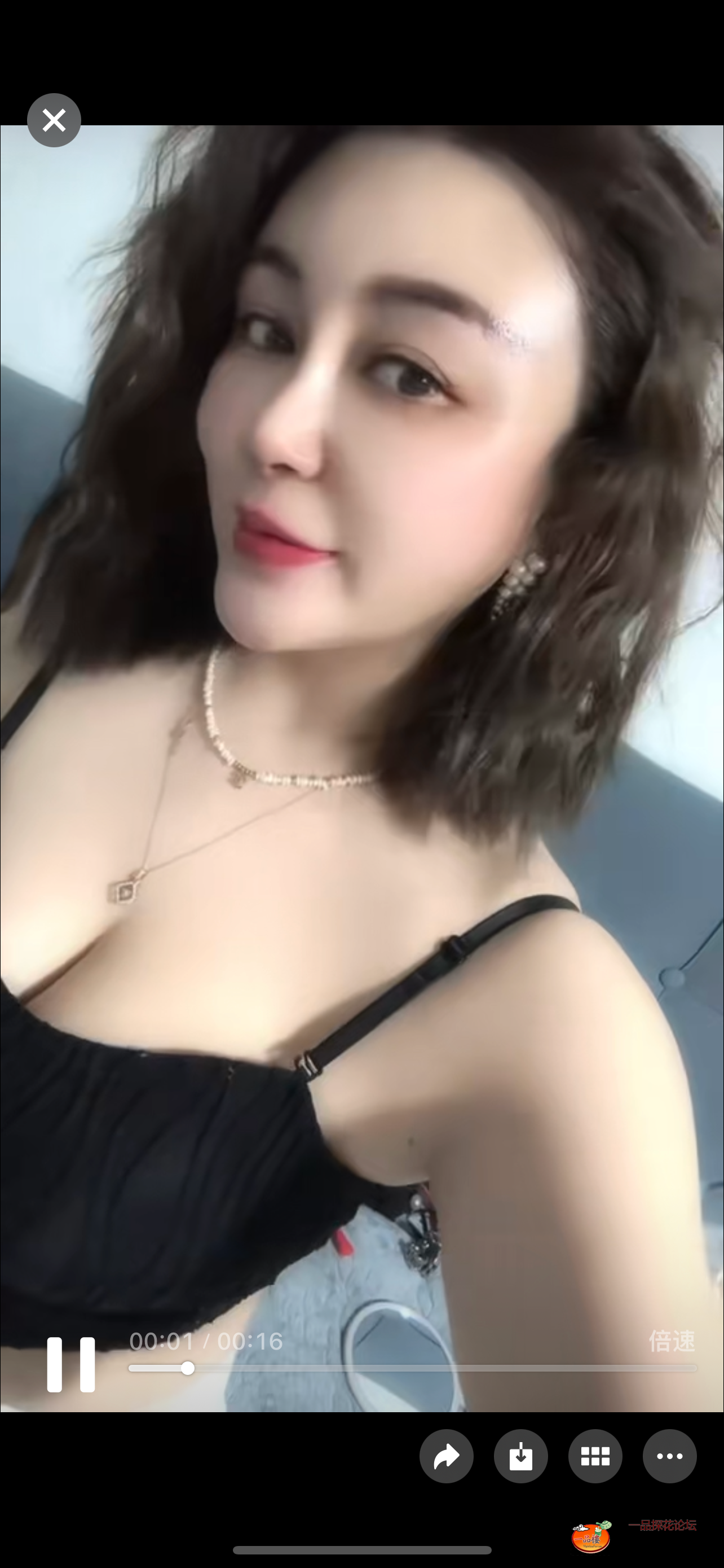 IMG_0895.png