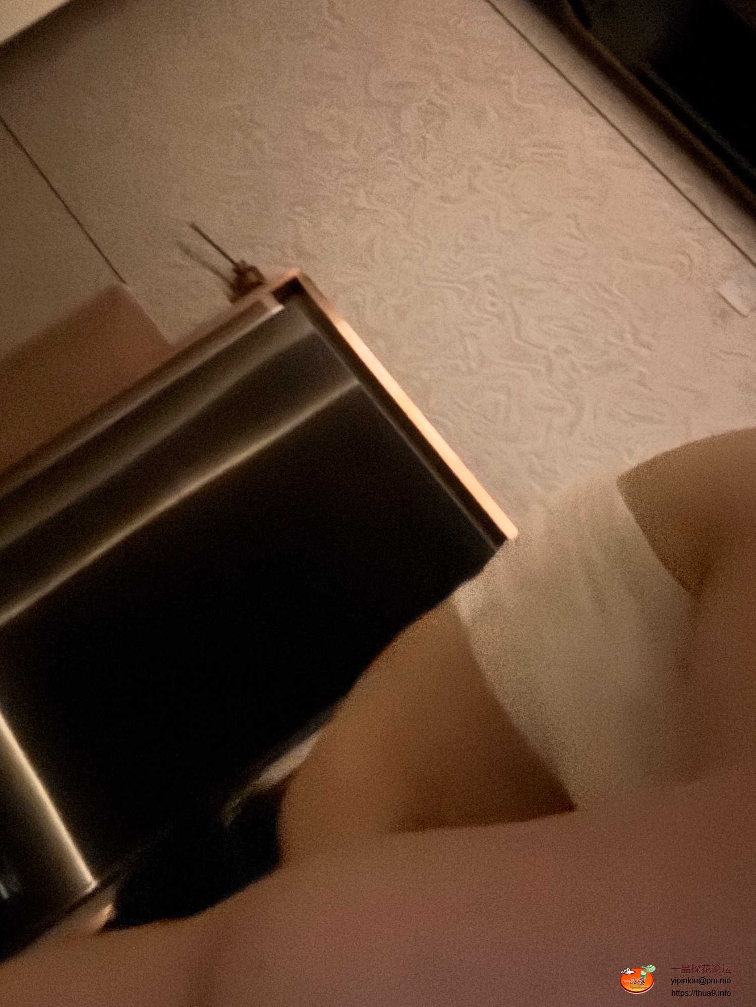 IMG_1254.jpeg