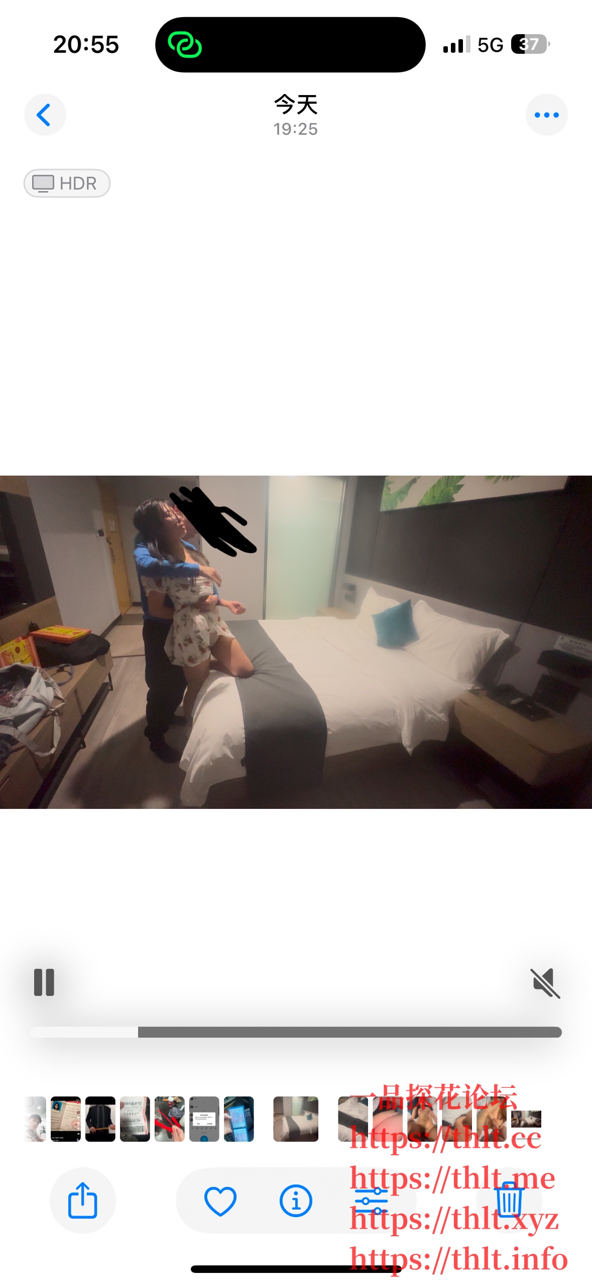 IMG_5314.jpeg