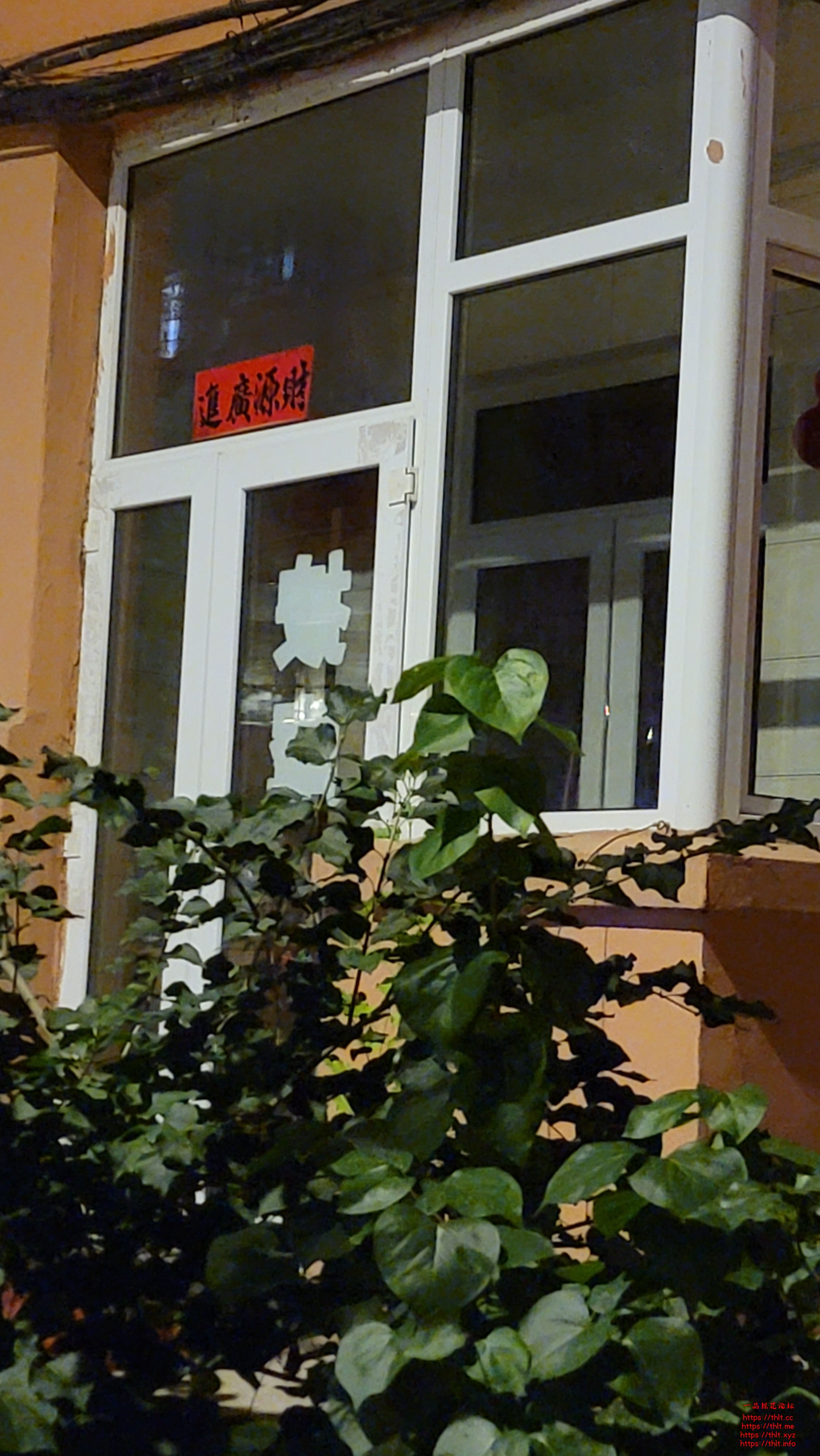 20260816_200959.jpg