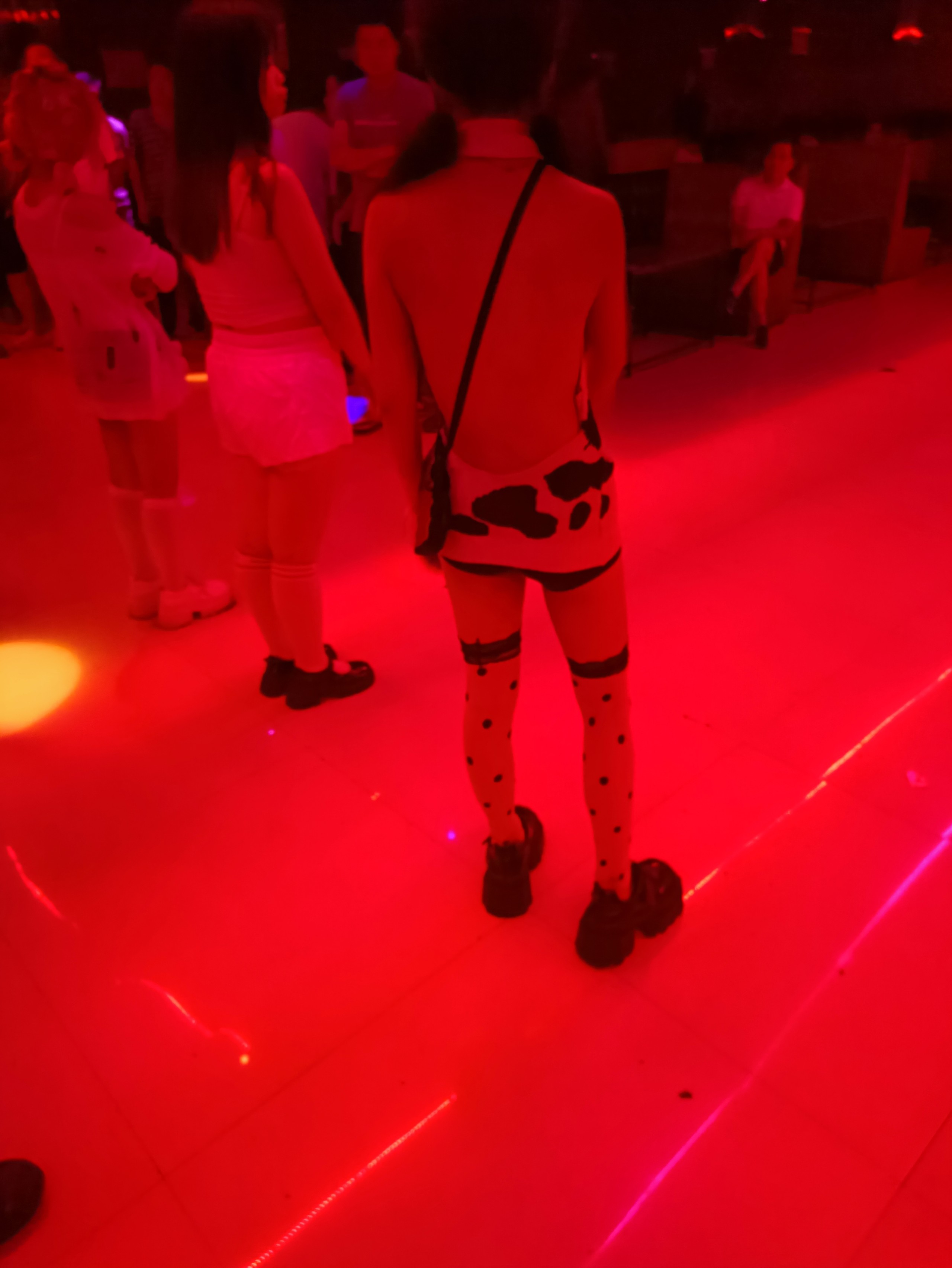 IMG_20260824_150217.jpg