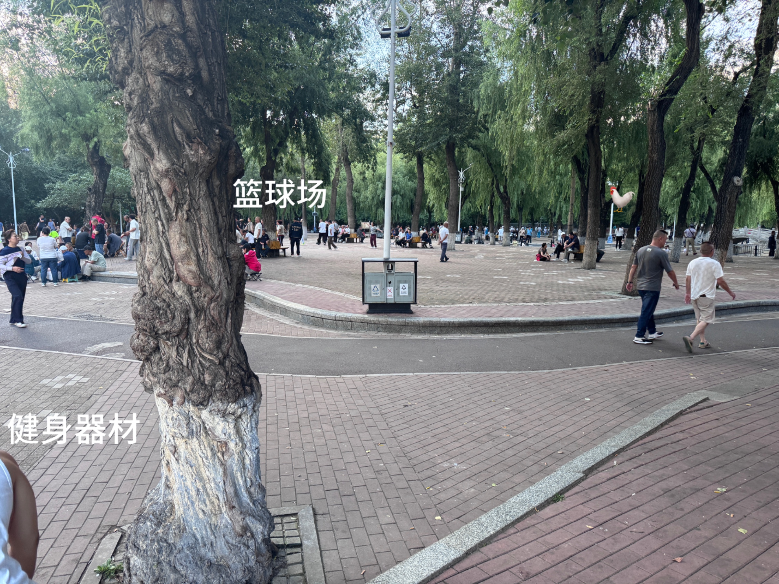 IMG_8607.jpeg